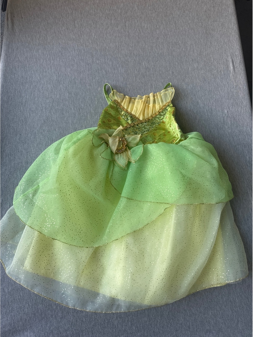 Disney parks princess Tiana dress is 3